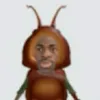 ayz3e