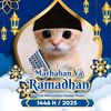 raz6550