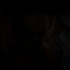 cjkcens_12