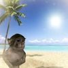 tropicalbananamonkey