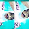 nasya123481