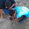 kevin..pineda