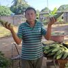 jose902212345