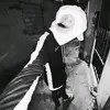guilhrz_s7