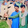 waheed.awan.nilha