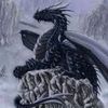 drakontop_25_