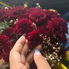 ru_vi_12.7