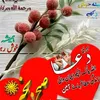 malik.ramzan5482