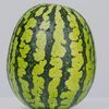 tumyr_05