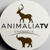animalia.tv0