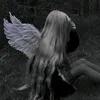 user13901223666844