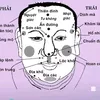 Nhân Tướng Hiểu Mình (Đỗ Lâm)