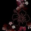 star_xx167