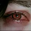 am_mayb44