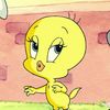 follownantikufolback4