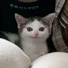usu.yuki