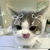 sunget_3