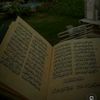 moli_985