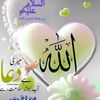 meerab.ali116