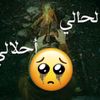 noor_alqoods