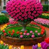 md.alim8262
