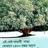 khokon.islan5