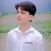 zeddi_abid