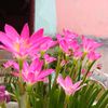arthi.rahman5