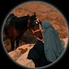 alishba.7225
