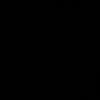 radiocat21