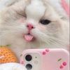laaa_003y