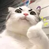 mihphuss2502