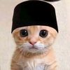boy_har3