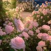 faiza.ahtisham35