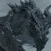 paarthurnax24