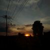 trisya385