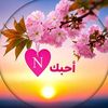 nadhem1238