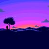 cody_4477