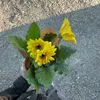 jas_min.1