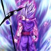 gohan999y1