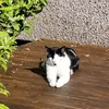 aimee.johnstone7