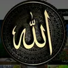 razamam148773gmail.com0