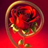 abdul.salam1461