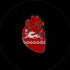 khortiev_05