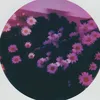 thepinkdevil00