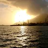 carla_.avagliano