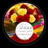 malak.mkawy