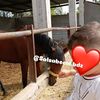 biilabiila19