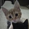 jay_5894