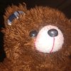 thefilterbear